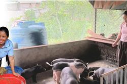 Hỗ trợ bà con dân tộc thiểu số vùng biên giới Quảng Trị tiếp cận mô hình phát triển kinh tế mới