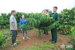 Khi tri thức 'bén rễ' ở các khu Kinh tế - Quốc phòng-Bài 2: Để tri thức ở lại với khu kinh tế - quốc phòng (Tiếp theo và hết)