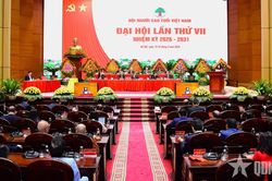 Người cao tuổi phát huy mạnh mẽ tinh thần 'Tuổi cao - Gương sáng' trong xây dựng, phát triển đất nước