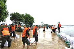 Hàng trăm cán bộ, chiến sĩ Lữ đoàn Xe tăng 201 giúp nhân dân phòng, chống lụt bão