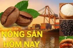 Giá nông sản hôm nay 16/9/2026: Giá cà phê trong nước khó duy trì đà phục hồi; Mỹ phản ứng dè dặt trước 'đòn thuế' đáp trả từ Canada