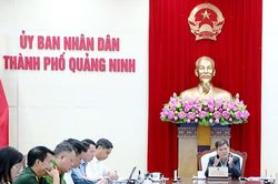 Quảng Ninh nghiên cứu tuyến đường 22.000 tỷ, hướng tới tổ hợp y tế - đào tạo - nhà ở