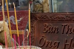 Từ ác thú đến thần bảo hộ: Hành trình kỳ lạ của hổ trong tín ngưỡng Việt