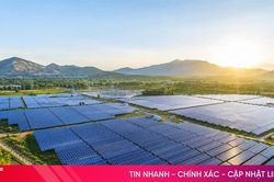 Hà Tĩnh chấp thuận đầu tư Nhà máy điện mặt trời Hồng Lộc hơn 763 tỷ đồng