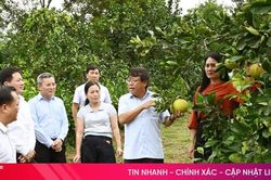 Đánh giá chính sách nông nghiệp, nông thôn từ thực tiễn cơ sở
