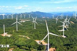 Quảng Trị đón thêm 400 MW điện gió, vốn đầu tư hơn 15.000 tỷ đồng