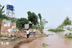 Sạt lở bờ sông đe dọa hàng nghìn hộ dân ở An Giang