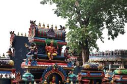Động Batu - sắc màu văn hóa Hindu giữa lòng Malaysia