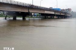 Ninh Bình: Chủ động ứng phó nguy cơ lũ trên sông Hoàng Long, sông Đáy