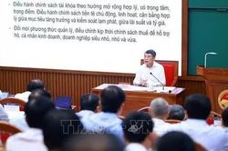 Thủ tướng trao đổi chuyên đề về phát triển nhanh, bền vững
