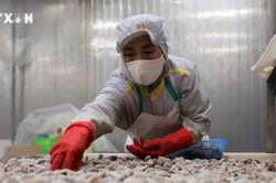 Nâng cao giá trị gia tăng, phát triển bền vững