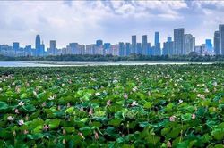 Thấy gì từ việc Trung Quốc đặt cược vào nhà thông minh để thúc đẩy tiêu dùng