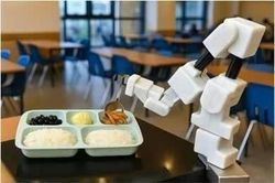 Robot thế hệ mới 'chăm sóc' người cao tuổi ở Hàn Quốc