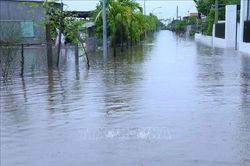 Ninh Bình: Chủ động ứng phó với mưa to kéo dài và lũ