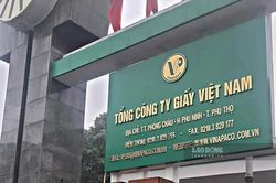 Thanh tra Chính phủ chỉ ra loạt vi phạm tại Tổng công ty Giấy Việt Nam và Tập đoàn Tân Mai