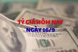 Tỷ giá hôm nay 16/9: USD và NDT tại các ngân hàng giảm giá