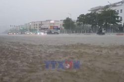 Toàn cảnh_Chống ngập Hà Nội: Hướng tới mô hình 'thành phố bọt biển'
