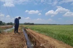 El Nino có thể gây thiếu nước trên nhiều lưu vực sông trong năm 2026-2027