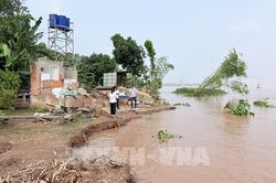 An Giang: Bờ sông Hậu sạt lở nghiêm trọng tại Mỹ Hòa Hưng