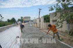 Các tỉnh Ninh Bình và Thanh Hóa đảm bảo an toàn đê điều ứng phó với lũ trên các sông