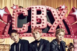 EXO-CBX thắng kiện công ty quản lý INB100, tòa án tạm đình chỉ hợp đồng độc quyền