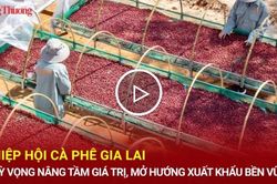 Hiệp hội Cà phê Gia Lai: Kỳ vọng nâng tầm giá trị, mở hướng xuất khẩu bền vững