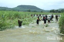 Bất chấp nước lũ, người dân vẫn xuống đồng bắt cá