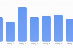 Nhà đầu tư cá nhân hạn chế mở tài khoản bất chấp VN-Index tăng gần 100 điểm trong tháng 8