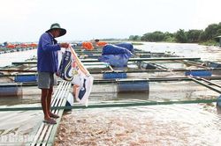 Gỡ điểm nghẽn, tạo dư địa cho doanh nghiệp phát triển
