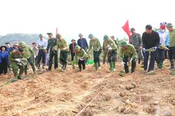 Mường Nhà đưa nghị quyết vào cuộc sống