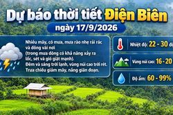 Bản tin Dự b&aacute;o thời tiết ng&agrave;y 17/9/2026