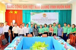 Tăng cường kết nối tiêu thụ nông sản Đồng Tháp - Hà Nội