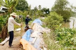 Đồng Tháp: Từ nay đến cuối năm còn 7 đợt triều cường