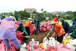 Khẩn trương xử lý sạt trượt mái thượng lưu đê tả Đáy