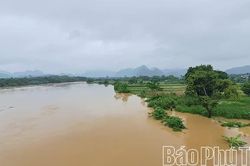 Lũ trên sông Bôi vượt mức báo động 3, gây ngập lụt vùng trũng thấp ven sông