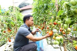 Xã Pà Cò khơi dậy tiềm năng vùng cao