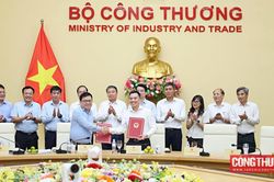 Bộ Công Thương quy định chức năng, nhiệm vụ, quyền hạn và cơ cấu tổ chức của Cục Địa chất và Khoáng sản Việt Nam