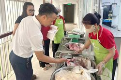Cách nào giám sát bữa ăn học đường?
