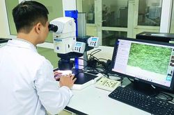Đơn giản việc phân loại hàng hóa, tạo lực đẩy cho thương mại