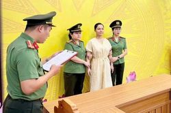 Giám đốc Công ty Explore Ha Giang bị bắt điều tra về tội trốn thuế