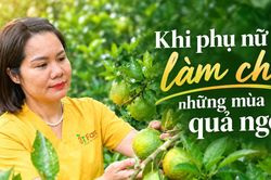 Khi phụ nữ làm chủ những mùa quả ngọt