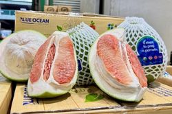 Sớm nối lại xuất khẩu bưởi Việt sang Australia
