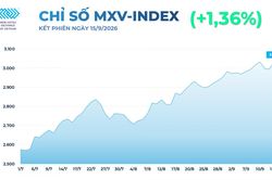 Thị trường hàng hóa: Dầu và đậu đẩy MXV-Index lên cao nhất 4 tháng