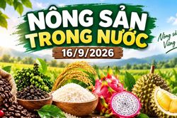Nông sản trong nước 16/9: Cà phê quanh 95.000 đồng/kg, hồ tiêu giữ vùng giá cao
