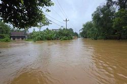 Mưa lũ làm hơn 1.068 héc-ta lúa và hoa màu của các địa phương hư hỏng
