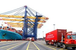 Hàng xuất khẩu không xuất khẩu, tiêu thụ trong nước phải nộp thuế tiêu thụ đặc biệt