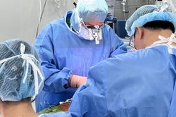Người đàn ông suy đa cơ quan sau nhiều năm đứt dây chằng van tim
