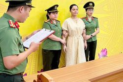 Không kê khai thuế, nữ giám đốc công ty lữ hành bị bắt