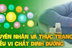 Dinh dưỡng vi chất theo mùa giúp tăng cường miễn dịch, phòng chống bệnh tật