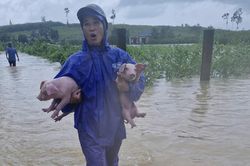 Người dân Nghệ An tất tả ôm gia súc chạy lũ